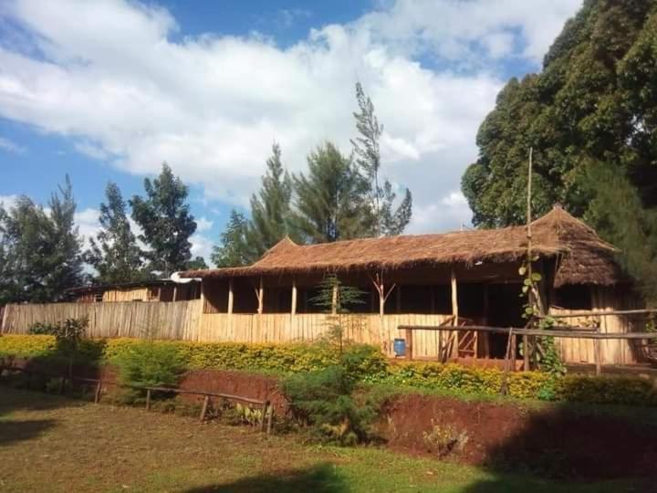 Sipi Coffee Lodge *