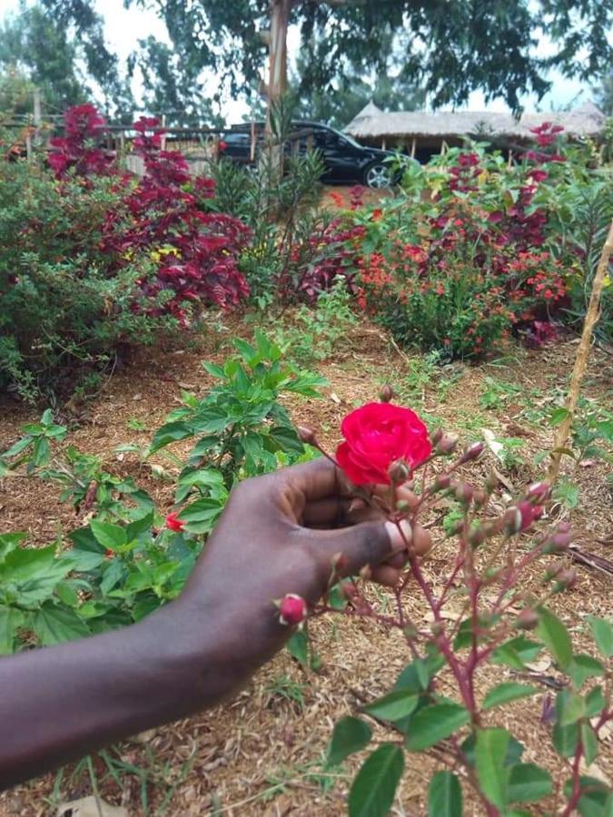 Sipi Coffee * Kapchorwa