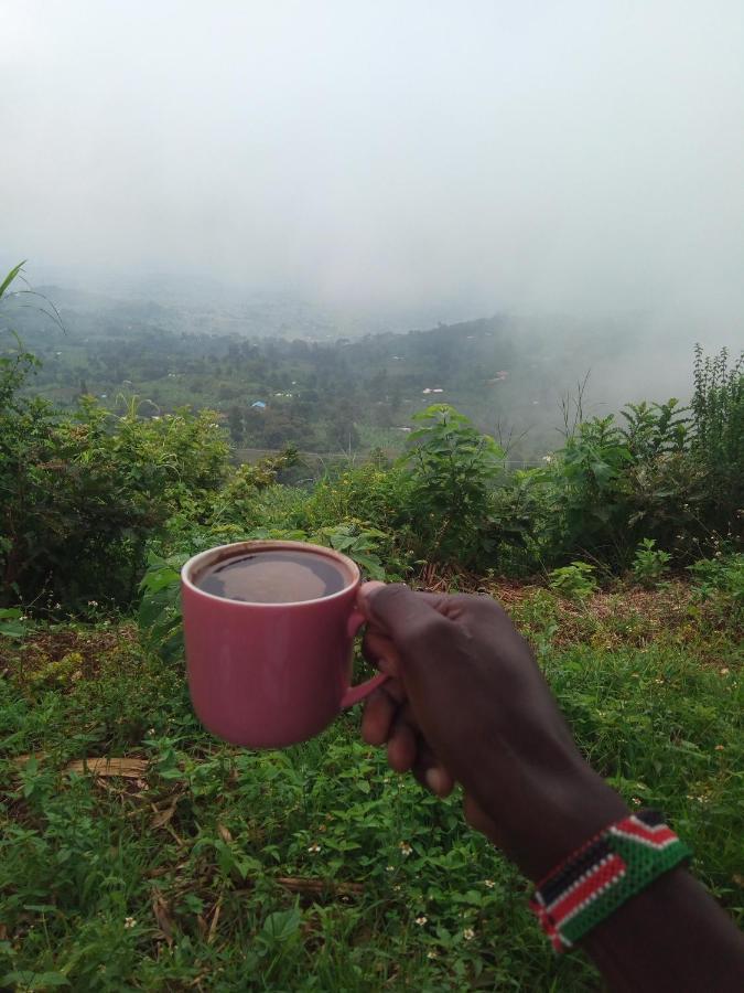 Sipi Coffee *