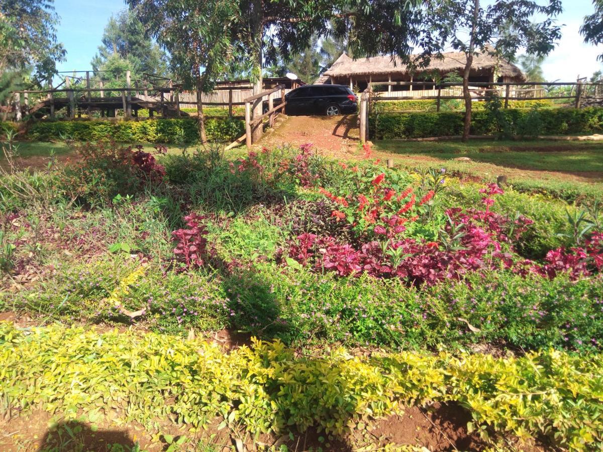 Sipi Coffee Lodge *