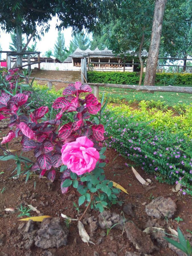 Sipi Coffee Lodge