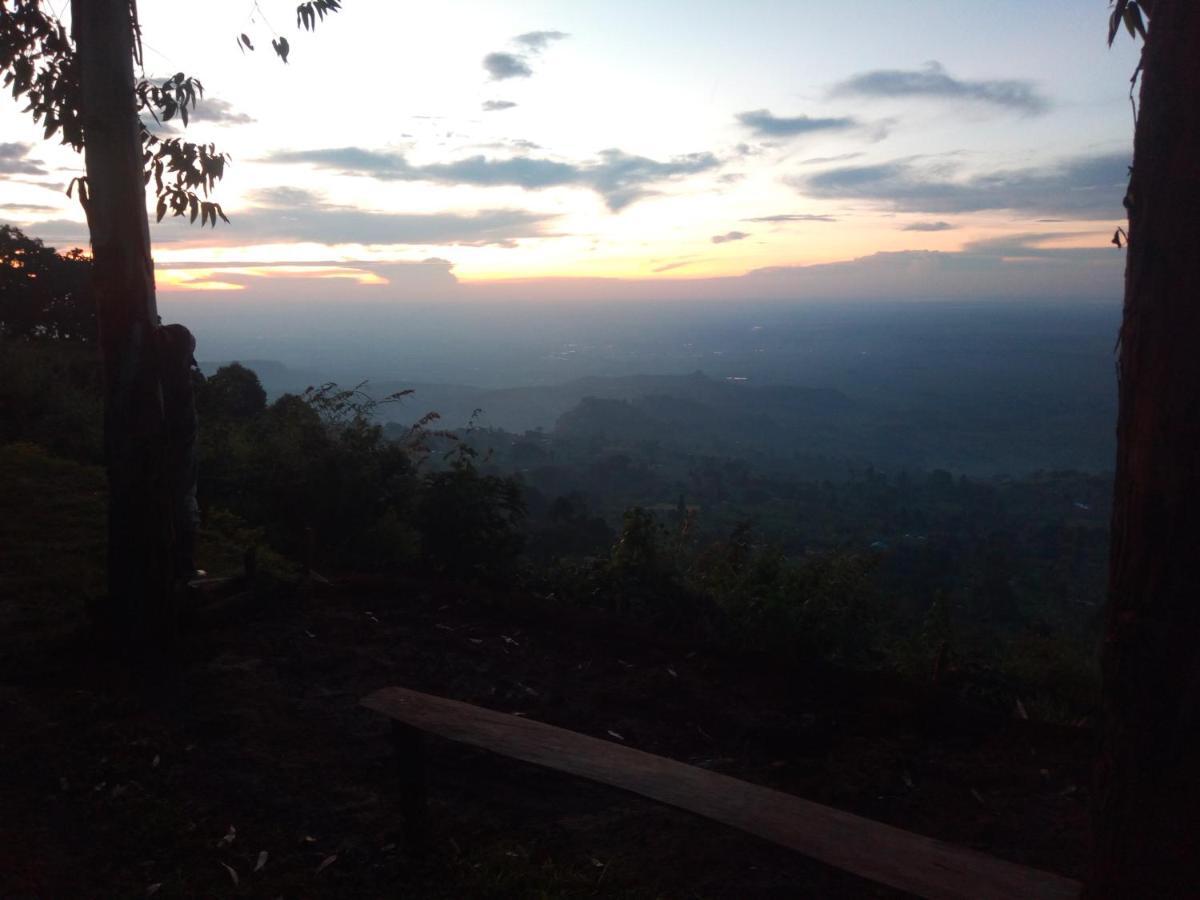 Sipi Coffee *